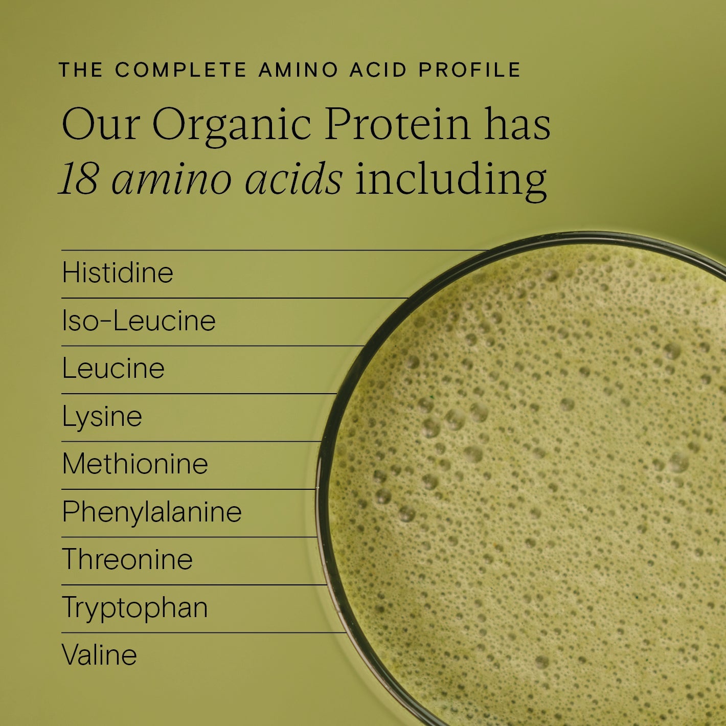 Food-Grown® Organic Protein + Superfood Powder